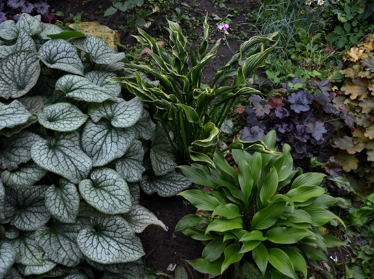 Живописная осенняя группа. Все фотографии в статье мои