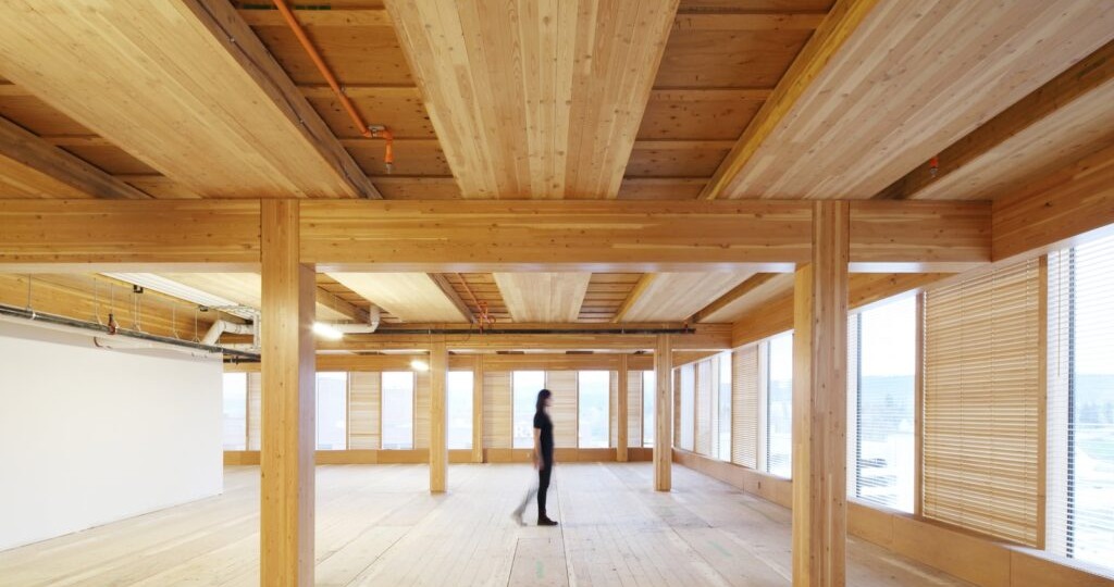 Почему строительство с CLT это быстро и экологично?