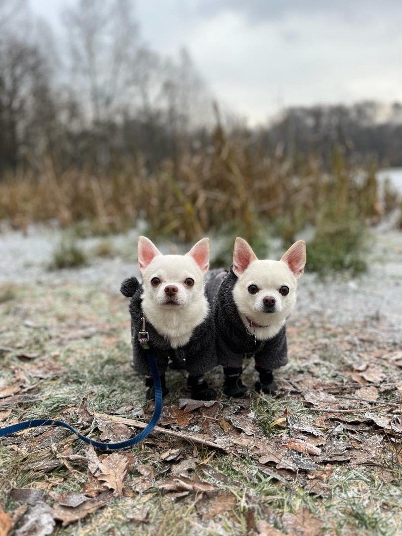 "Нам одежда необходима!"