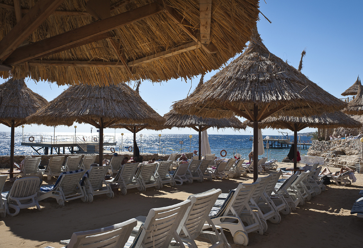 Фото: Анатолий Струнин/ТАСС