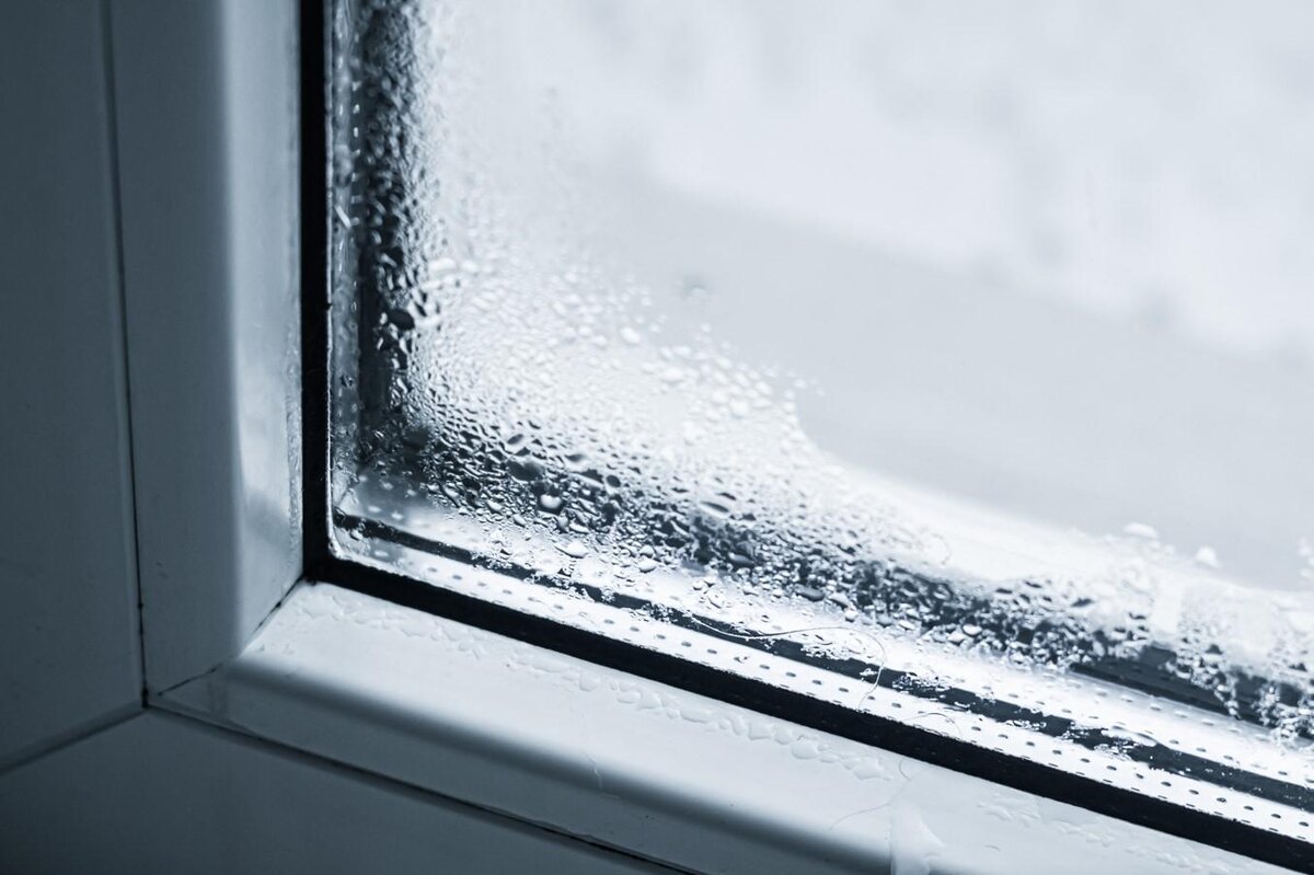 Ireshetnikov54 / Shutterstock / FOTODOM📷Окна запотевают, когда на внутренней поверхности стекла скапливается конденсат