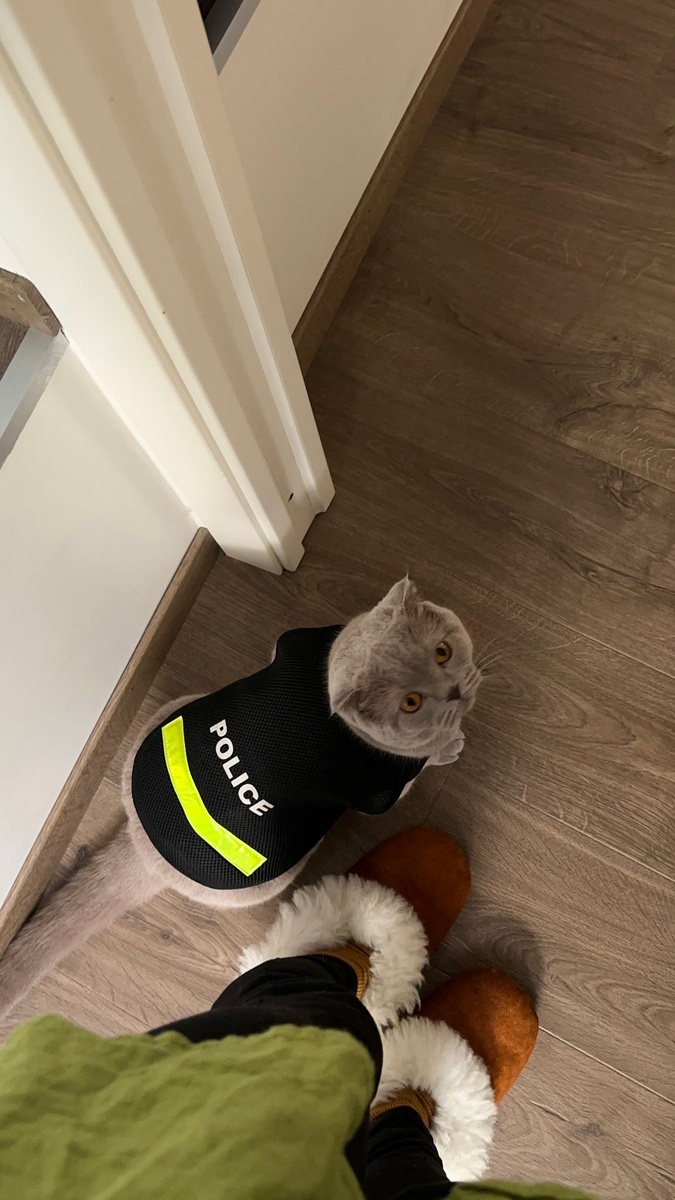 Ты все ещё прокрастинируешь? Тогда я тебя арестую! 