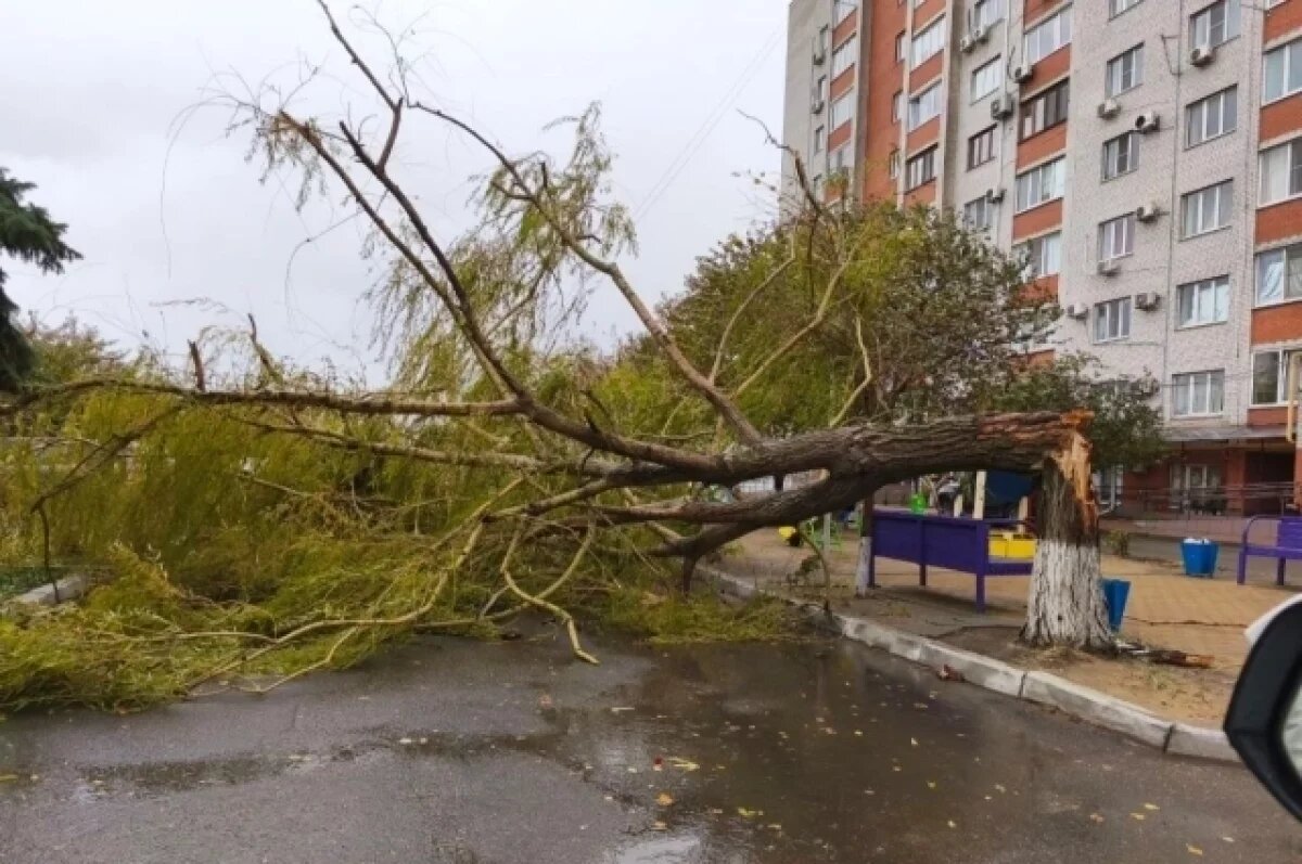    В Ейске бушует шторм, в Ясенской Переправе море вышло из берегов