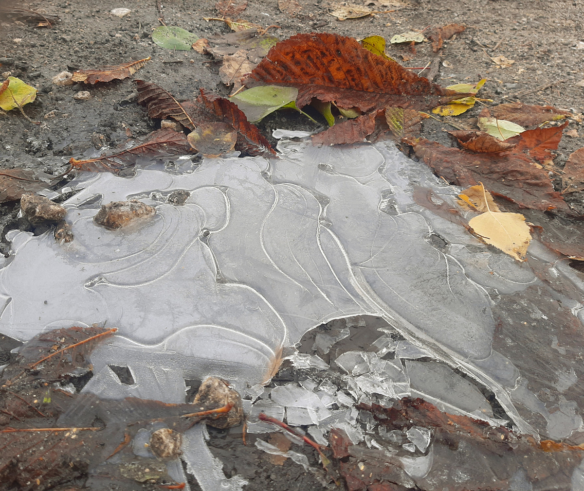 Встреча осени и зимы