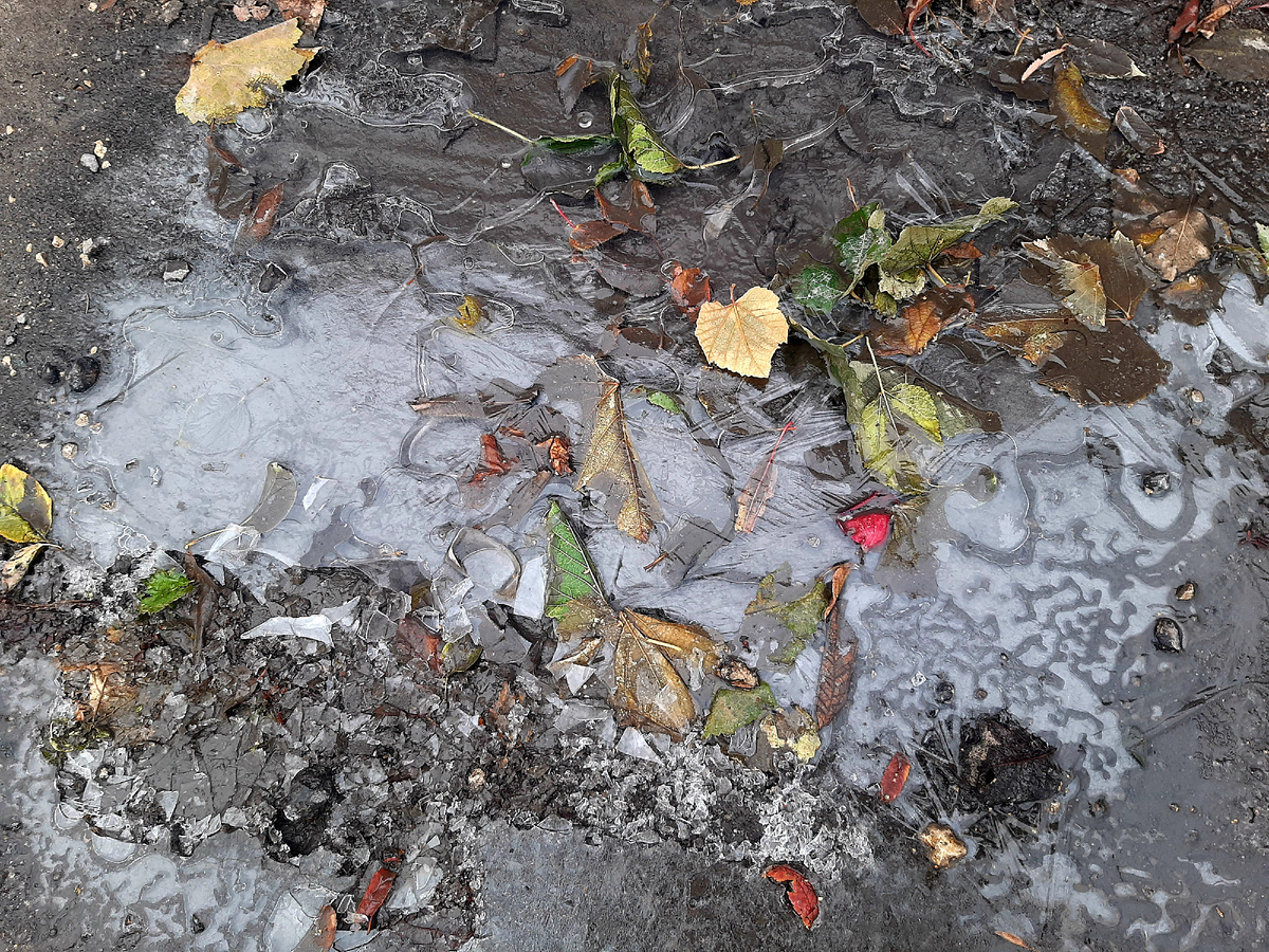 Ноябрь - время, когда осень встречается с зимой