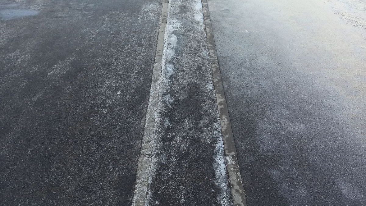  Фото: Петроград/Олеся Орехова 