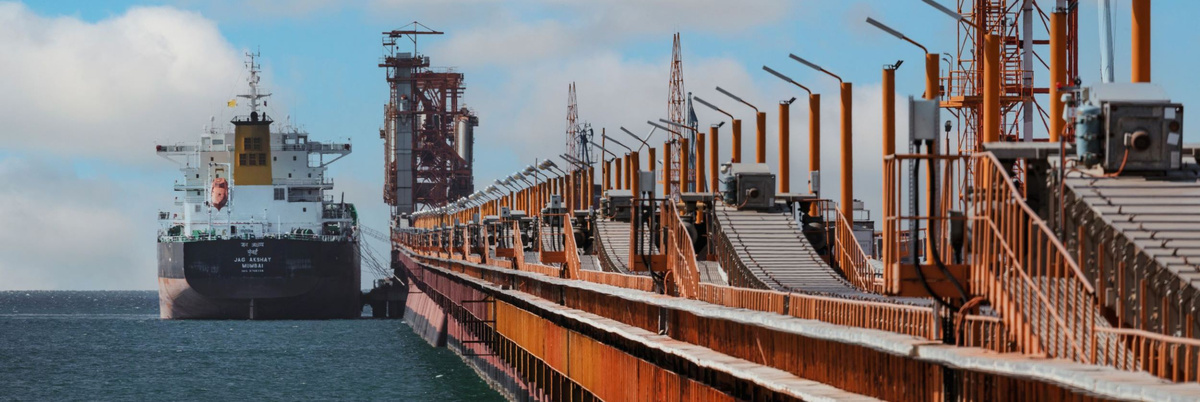 Причал зернового терминала в порту Тамань. Фото с сайта «Зерновой терминальный комплекс Тамань»