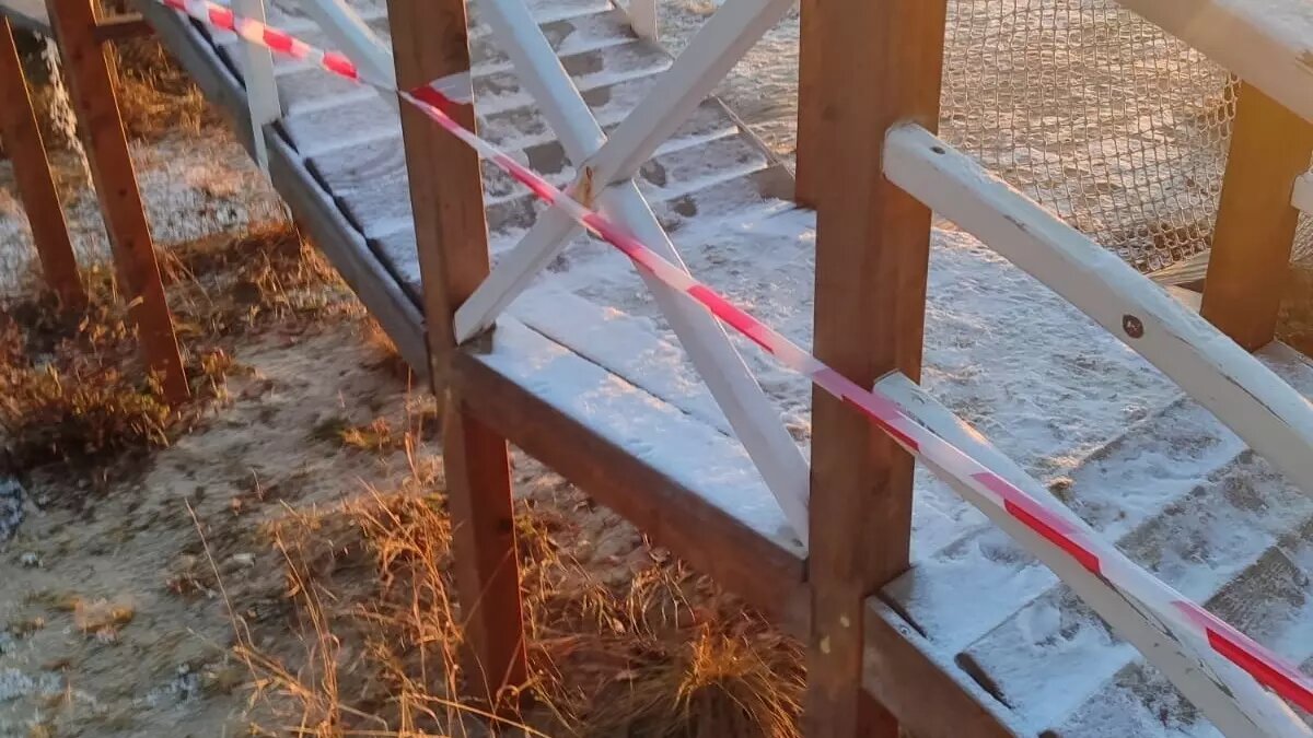     Источник: Марина Гусева / vk