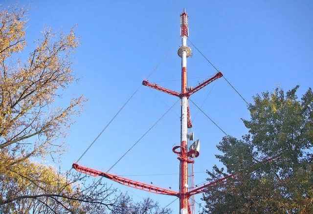   Фото из архива Калининград.Ru