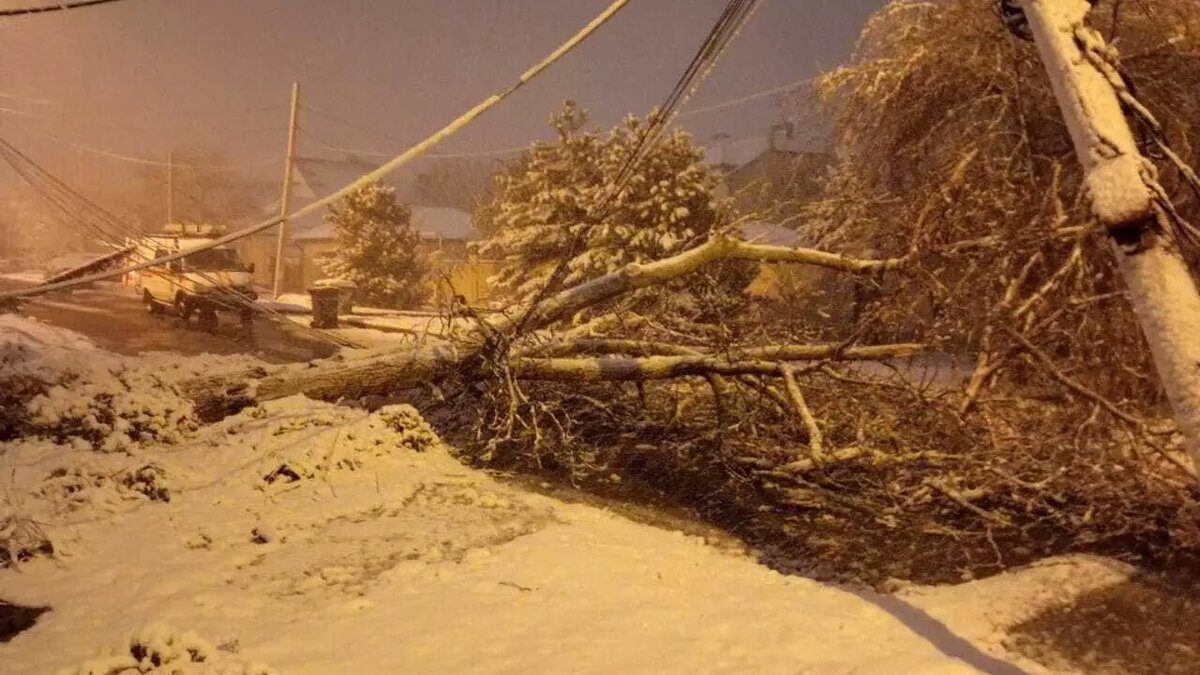     Источник: ПАСС СК