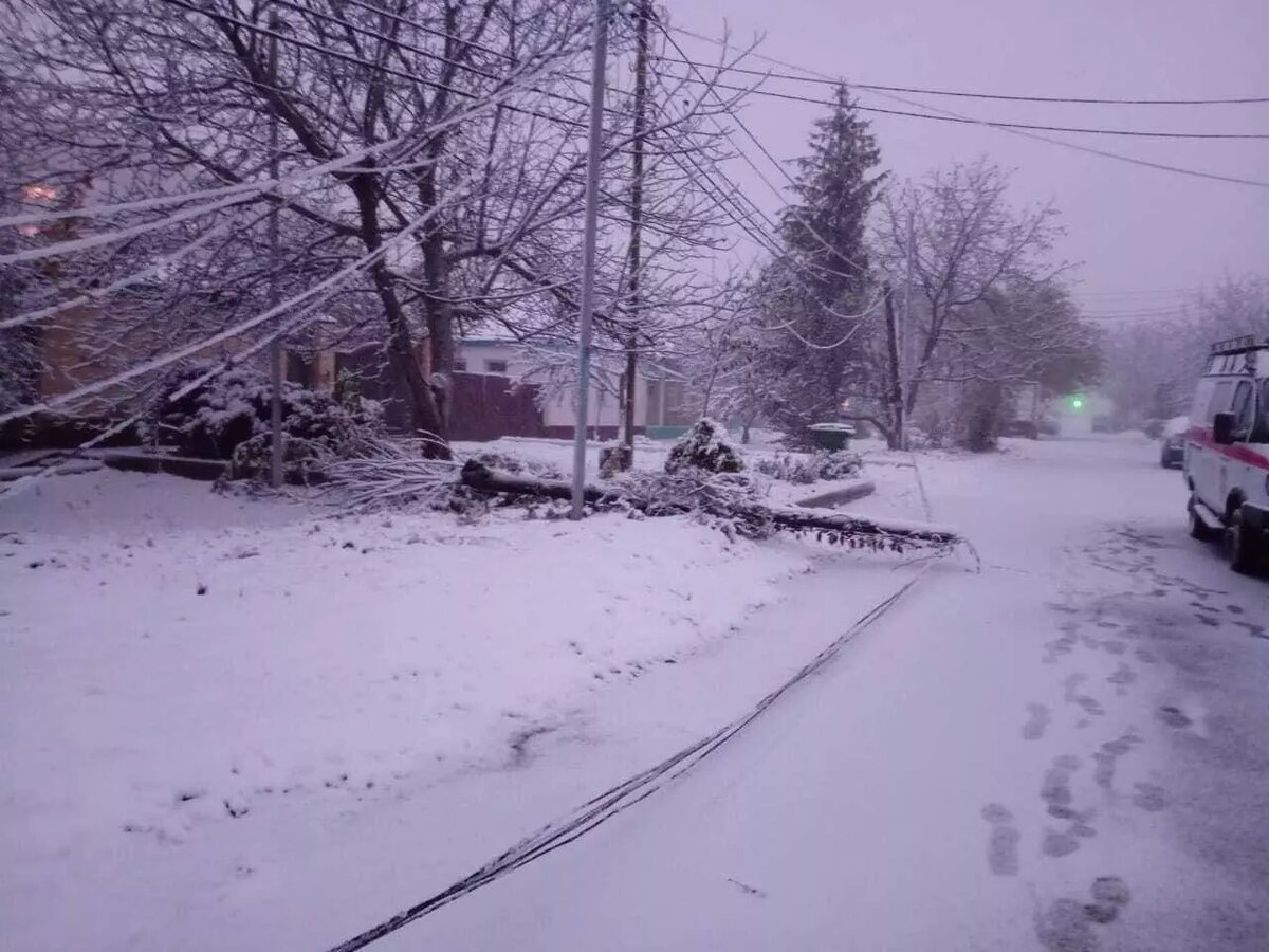     Автор: ПАСС СК