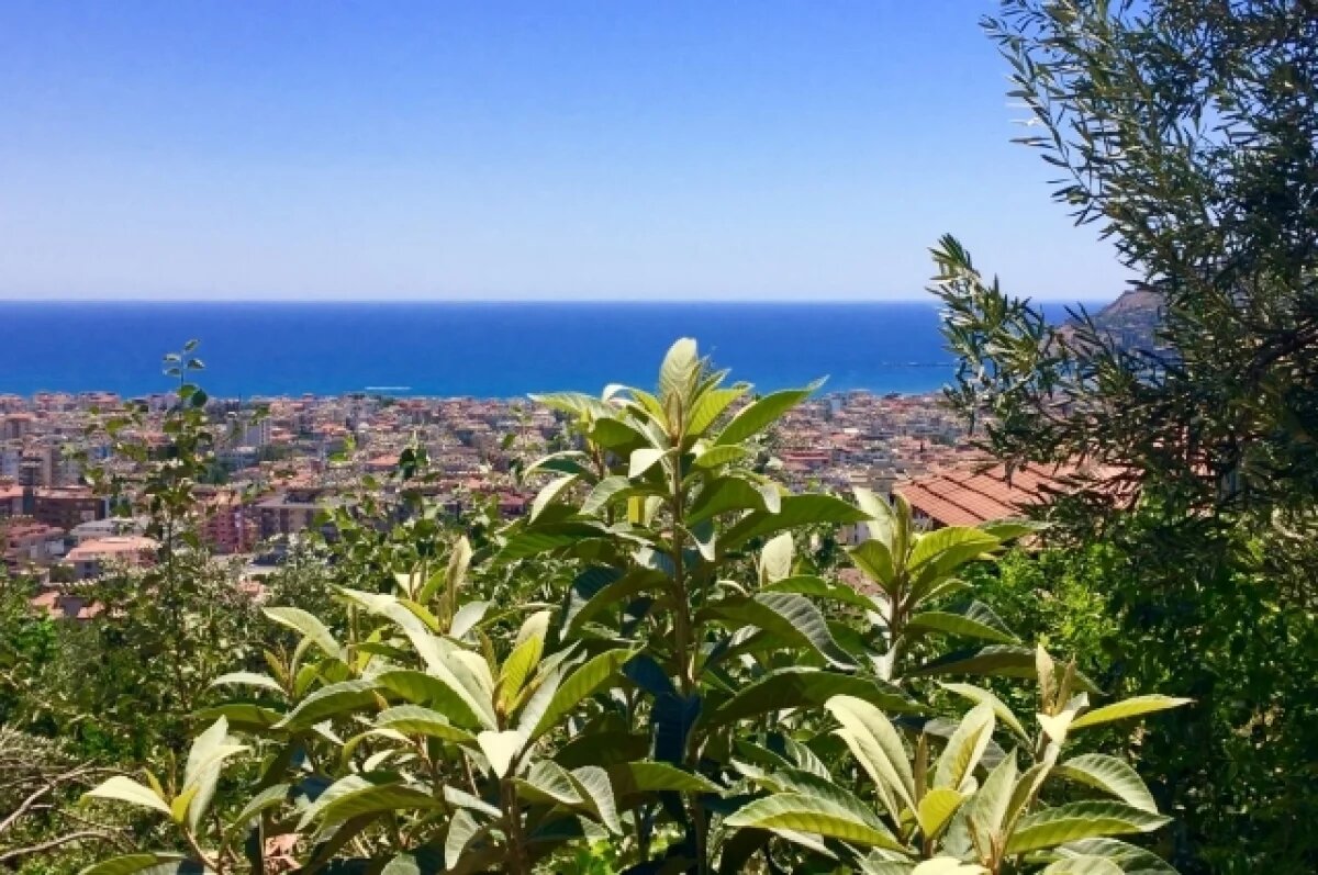    Вице-президент АТА Мкртчян: вирус Коксаки не повлиял на турпоток в Турцию