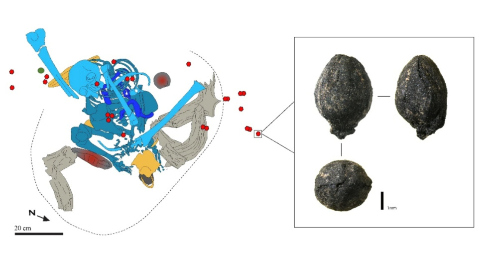   Jacob Morales et al. / Scientific Reports, 2024