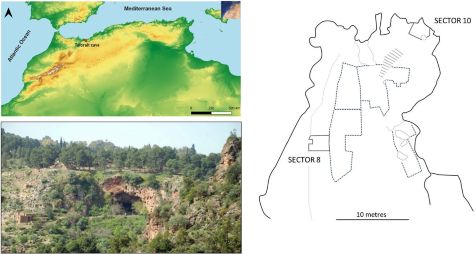   Jacob Morales et al. / Scientific Reports, 2024