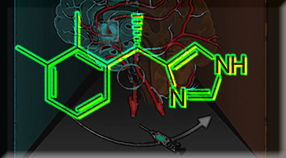   N + 1; Icey / Wikimedia Commons / Public Domain; Enqiang Chang et al. / Med, 2024
