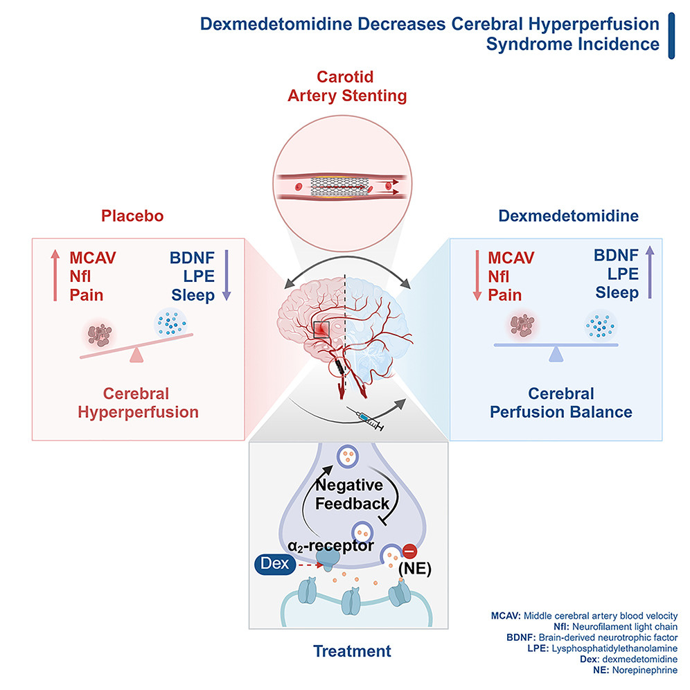   Enqiang Chang уе al. / Med, 2024