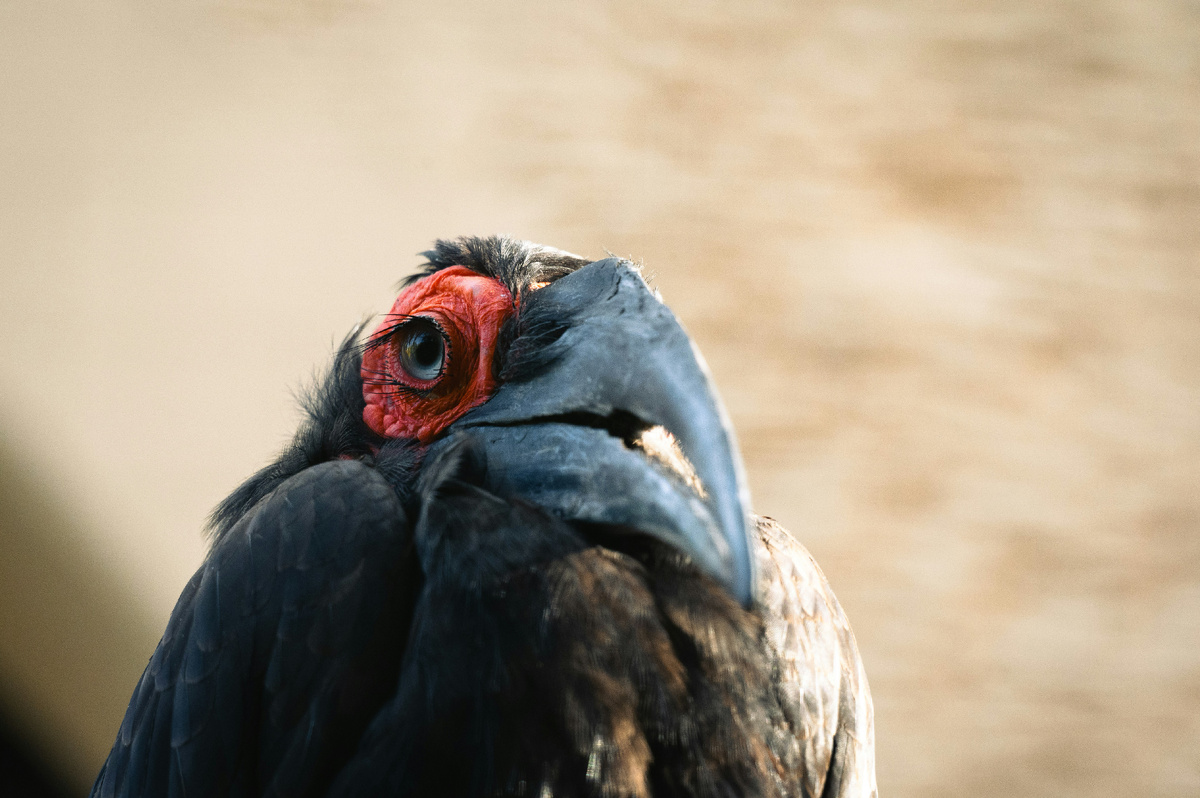 Картинка с бесплатного фотостока https://unsplash.com, автор Job Vermeulen