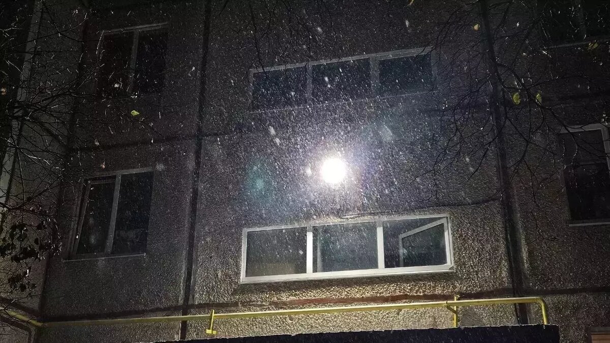     Источник: 56orb.ru