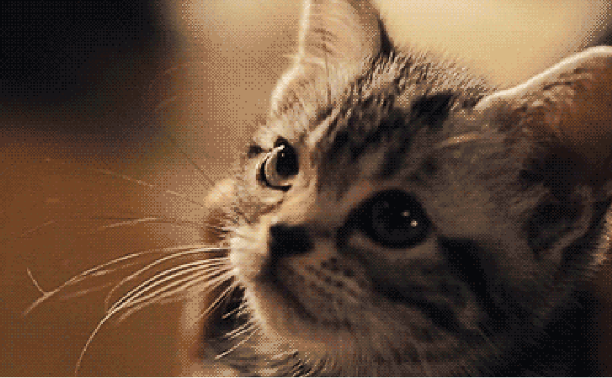 Фото: Яндекс картинки