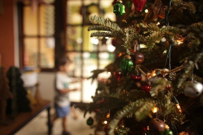    Новый год Рождество новогодние праздники елка