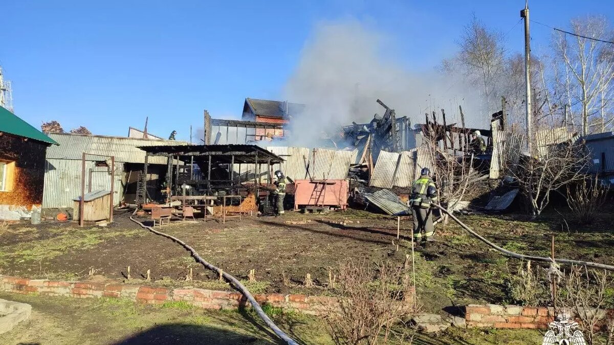     Источник: МЧС по НСО