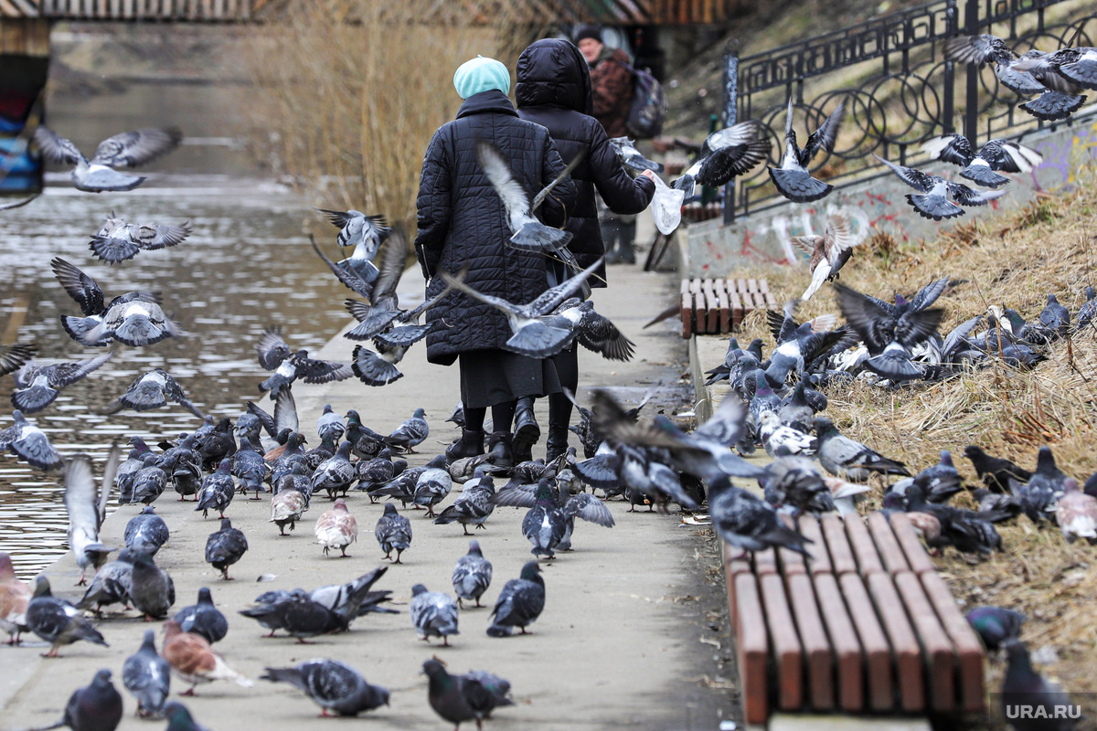 В Яков день можно покормить птиц. Фото: Размик Закарян © URA.RU