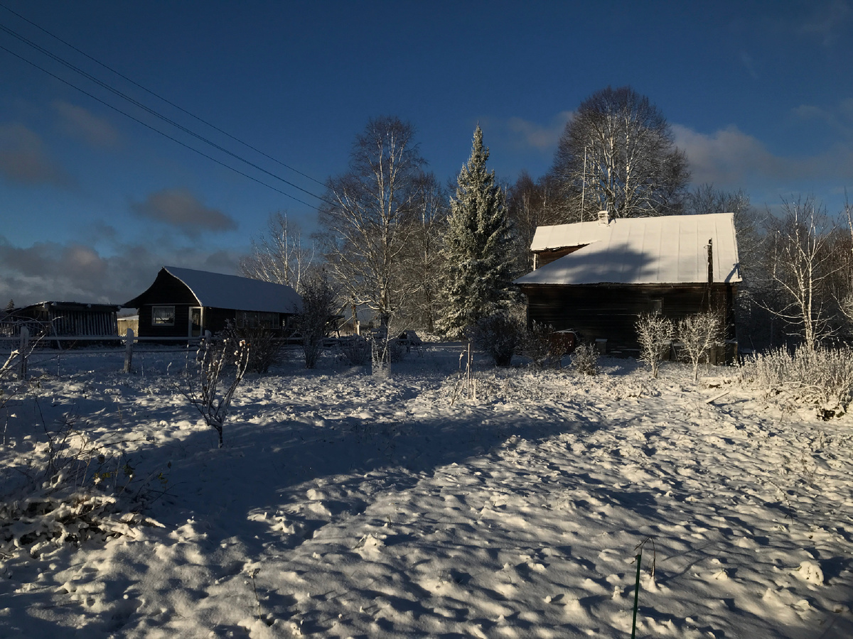 Фото автора