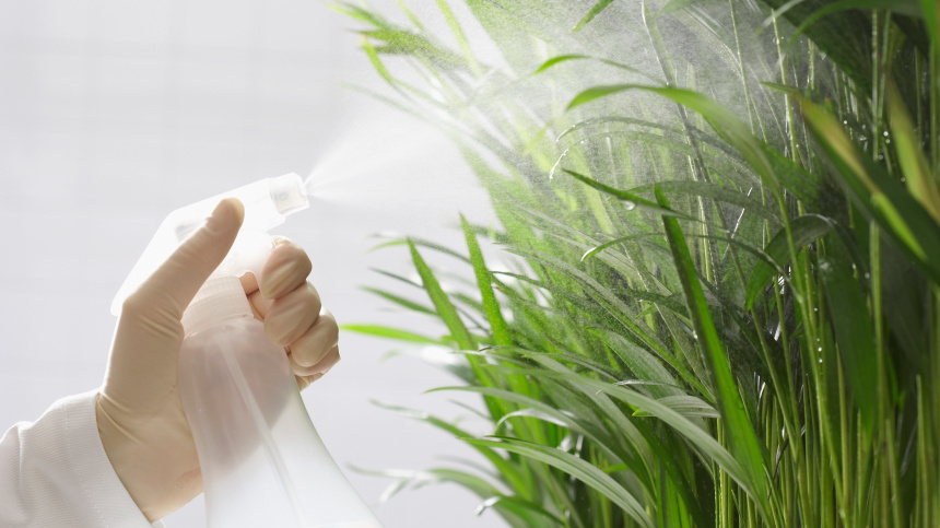    Фото: www.globallookpress.com/Martin Poole