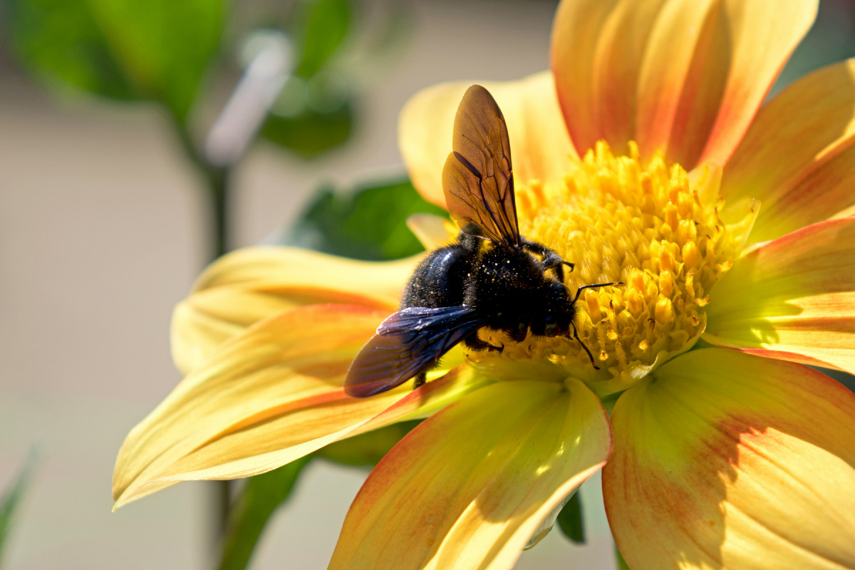 Картинка с бесплатного фотостока https://unsplash.com, автор Chris Linnett