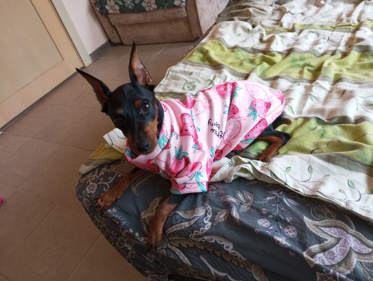 Домашняя толстовочка