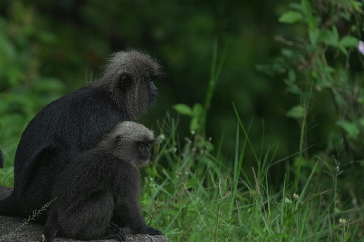 Картинка с бесплатного фотостока https://unsplash.com, автор A M