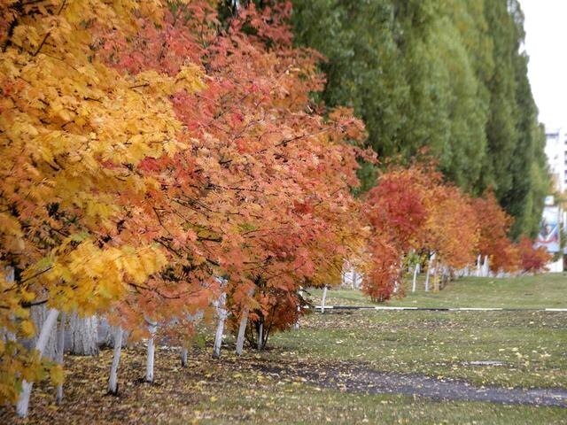 Фото Вадима Заблоцкого