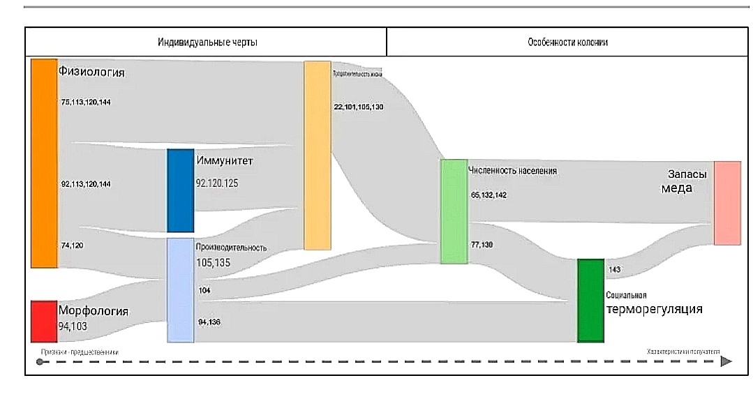 серая область показывает количество исследований негативных эффектов во время зимовки, все они сходятся к трём характеристикам: температура клуба, численность пчёл и запасы мёда