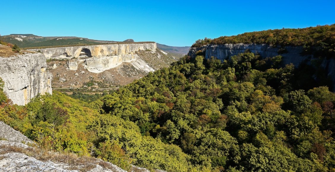    Фото: пресс-служба главы Республики Крым