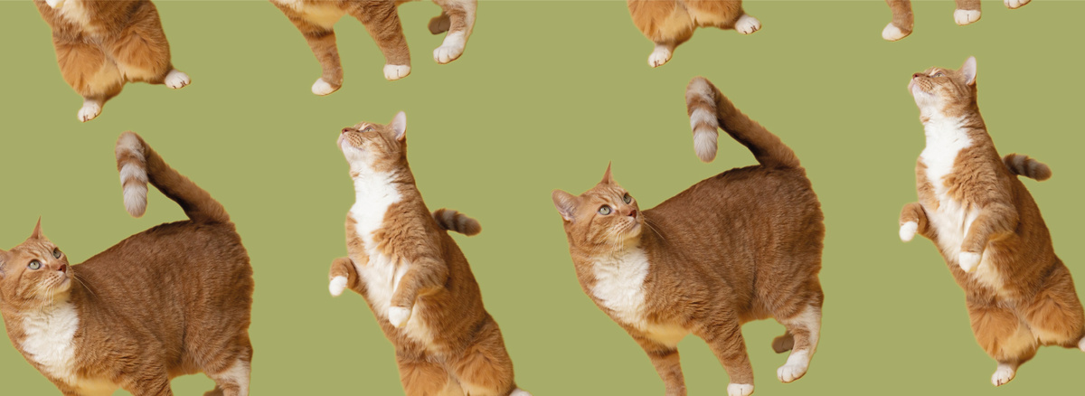 Креативная рекламная кампания для ЖК «Цветной бульвар»