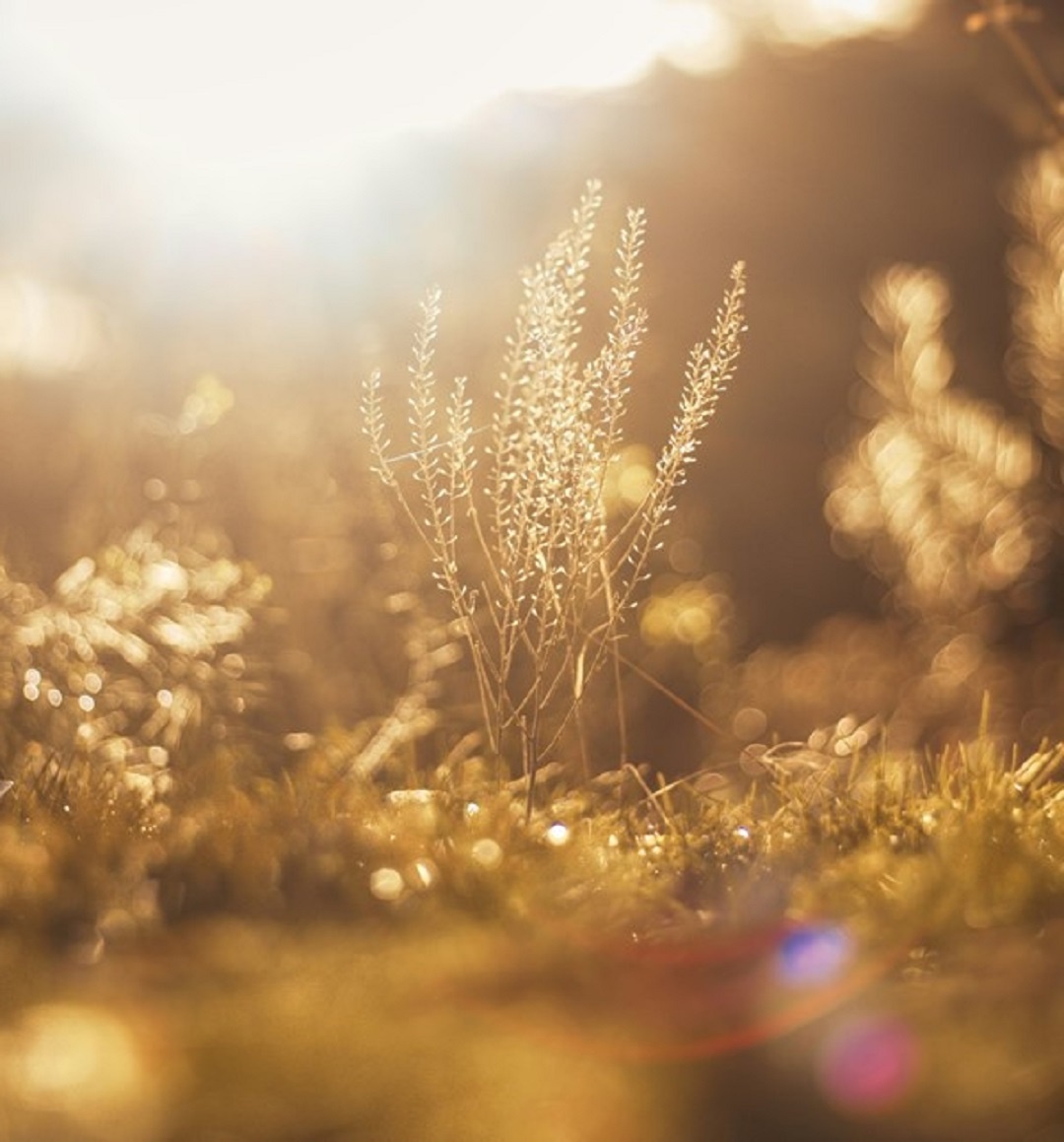 Источник: https://unsplash.com/