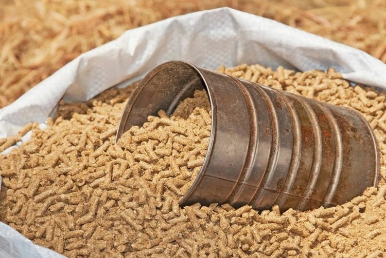    Почему комбикорма проверяют на патулин