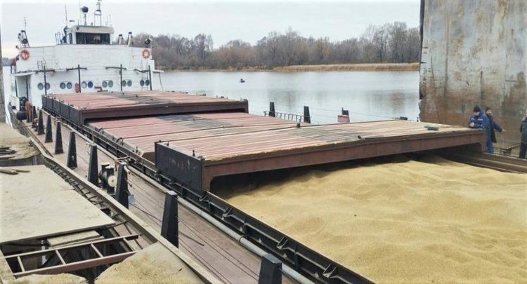    Алжир и Израиль в этом году стали главными покупателями пшеницы в Татарстане