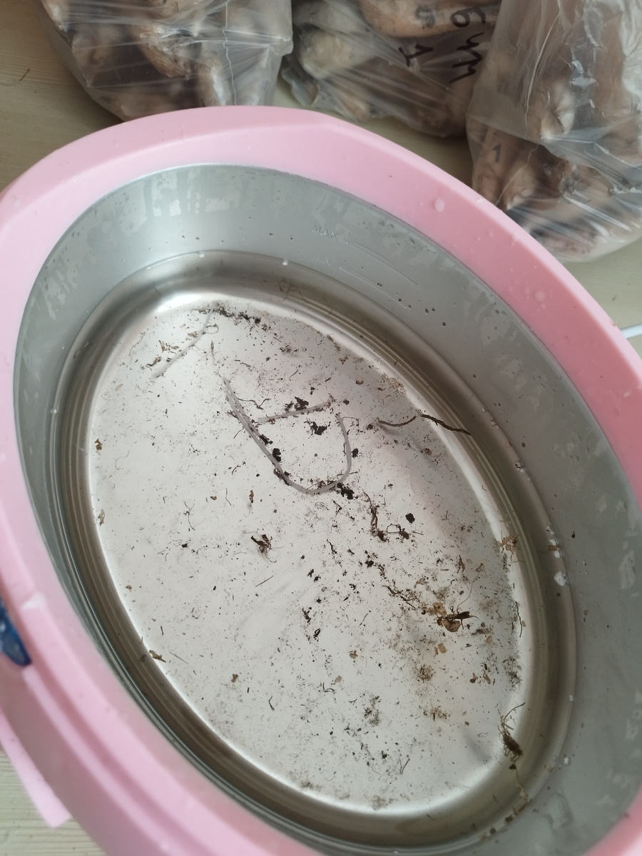 На фото уже остатки от 5 кг парафина, в конце работы