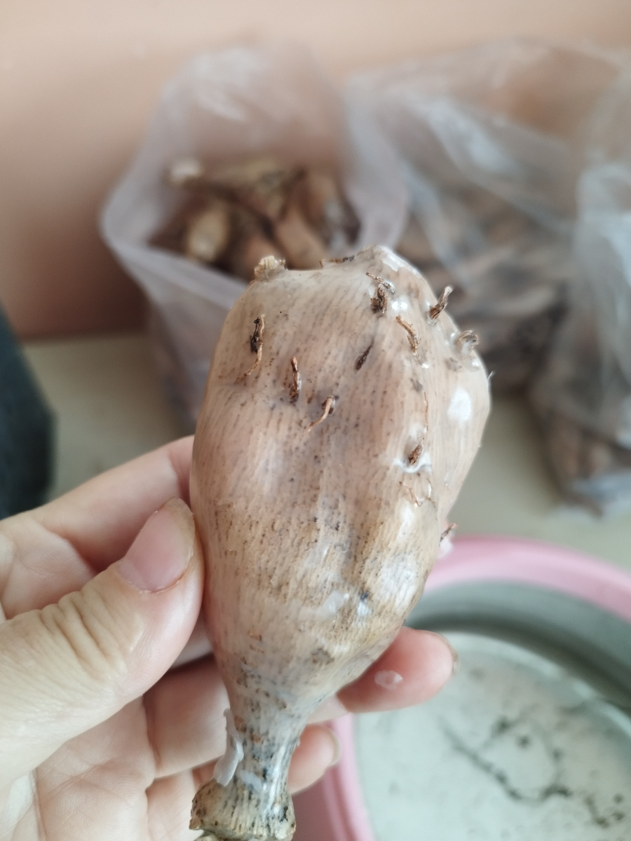 Деленка в парафине