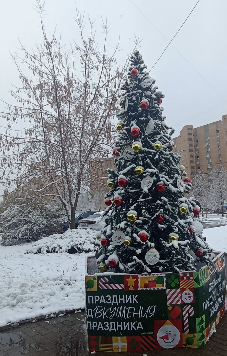 Скоро во всех дворах страны! До встречи Нового года остаётся 56 дней! ЗДЕСЬ и далее фото автора и(или) из личного архива автора, если не указано иначе.