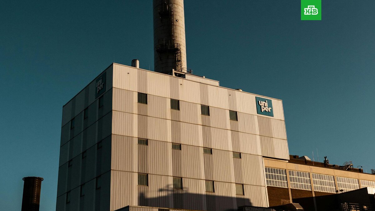    Фото: Karl H?rnfeldt / unsplash.com