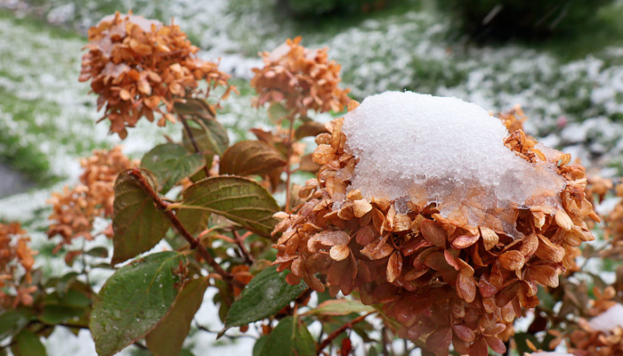 6 ноября — Светец. Фото: 1MI