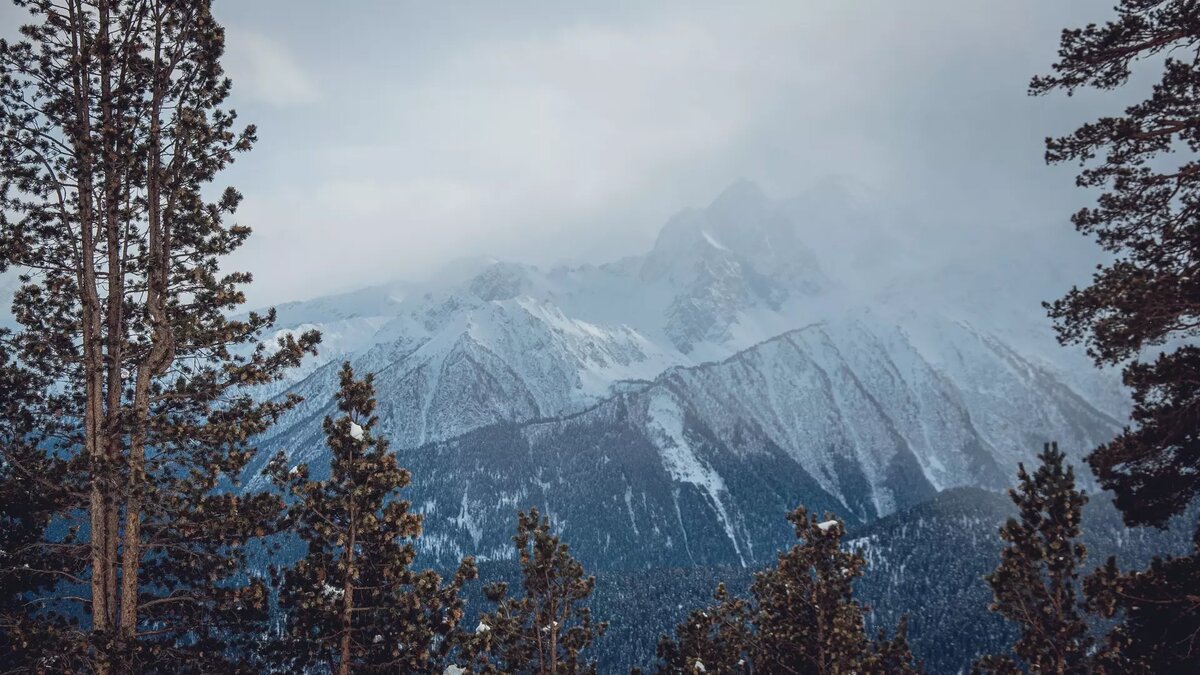     Источник: 1MI