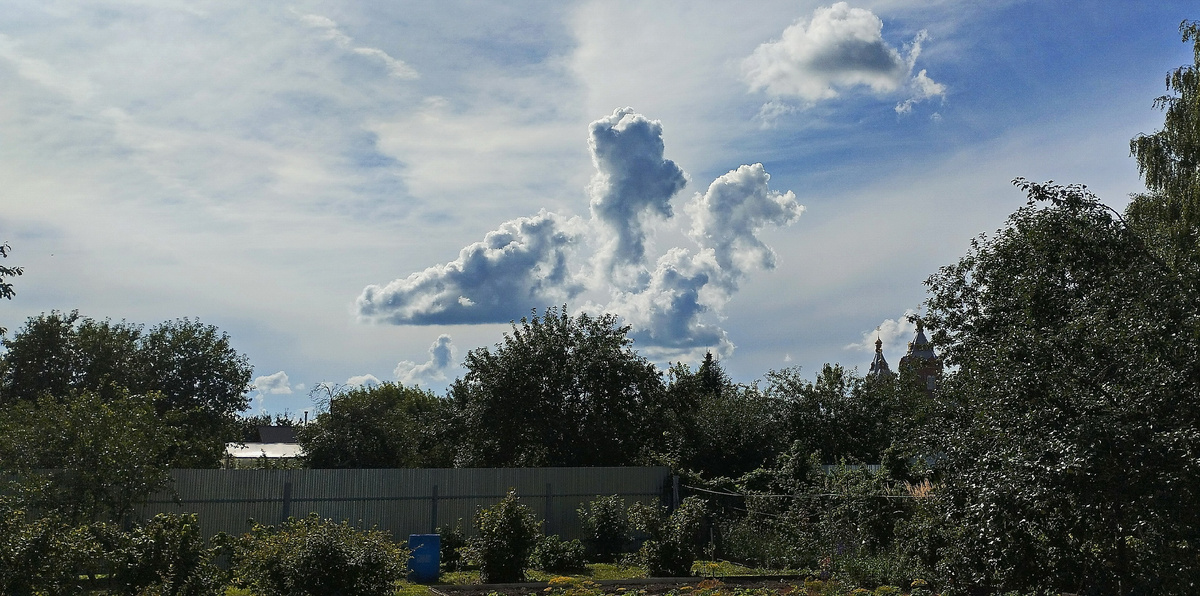 фото с https://vk.com/id296798908?from=search