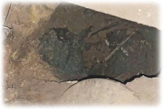    Заключённые массово бегут из колоний