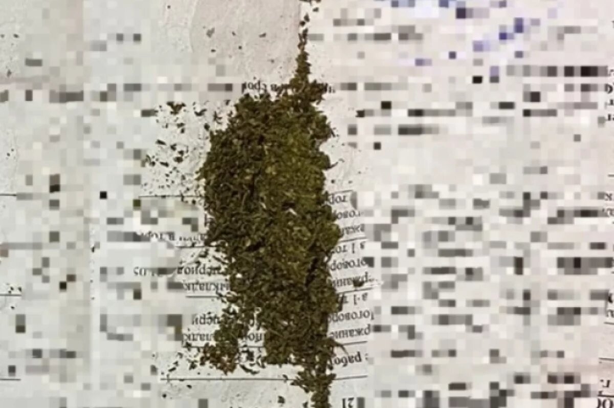    В Тверской области задержали помощника машиниста с наркотиками