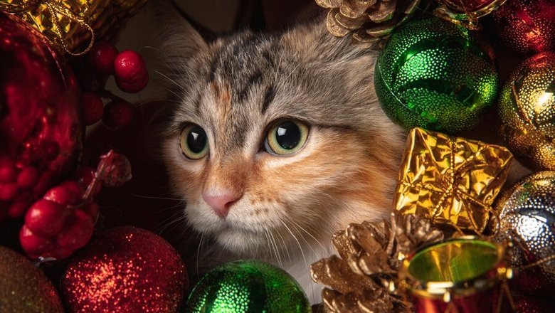 Источник: freepik.com