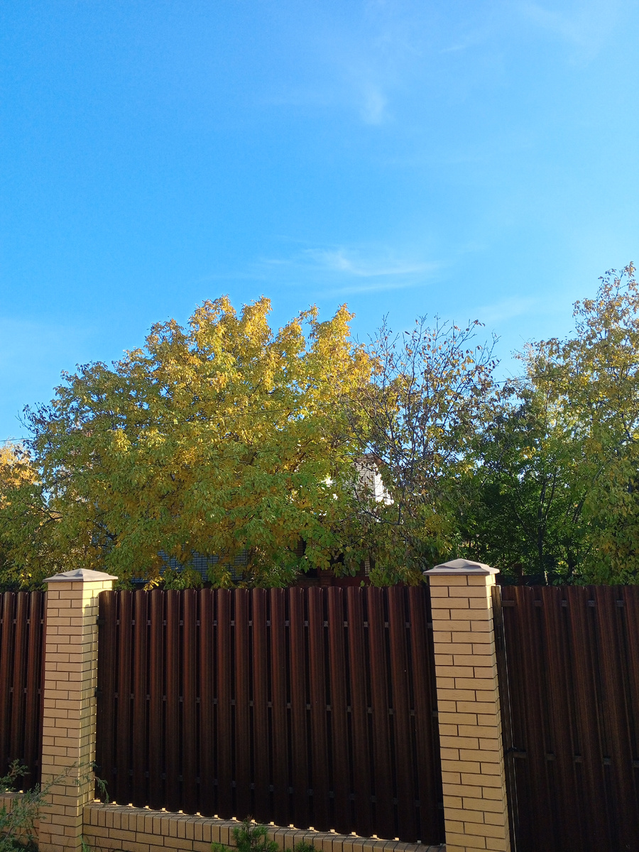 Вид с моего крыльца