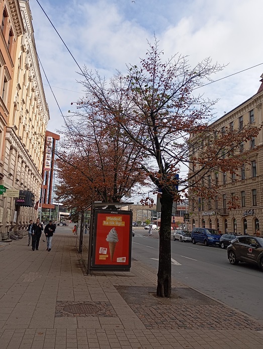 Рига, 29 июля 2024